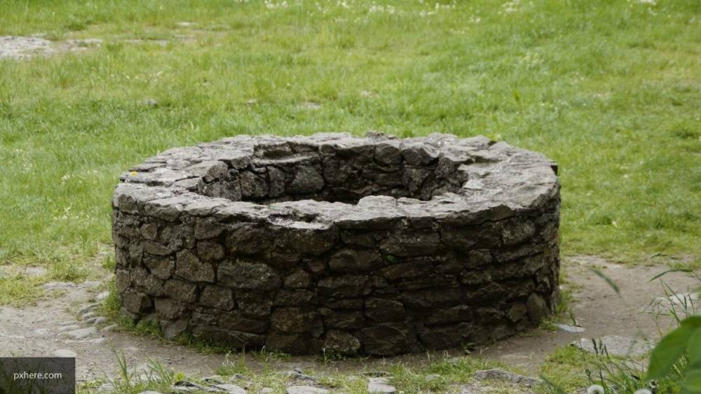 Приморские спасатели вызволили собаку из трехметрового колодца - nation-news.ru
