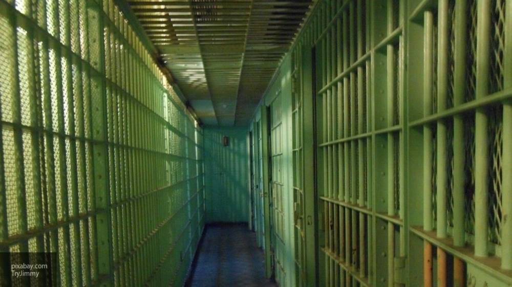 Адольф Гитлер - Андрей Власов - Уголовное дело завели против двух россиян по статье о реабилитации нацизма - polit.info - Россия - Германия - Пермь - Казань