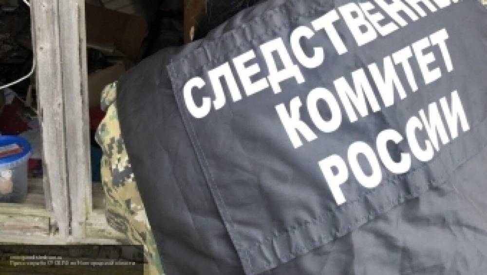 СК РФ завел дело в отношении жителей Перми и Казани за размещение фото Гитлера и Власова - politros.com - Россия - Германия - Пермь - Казань