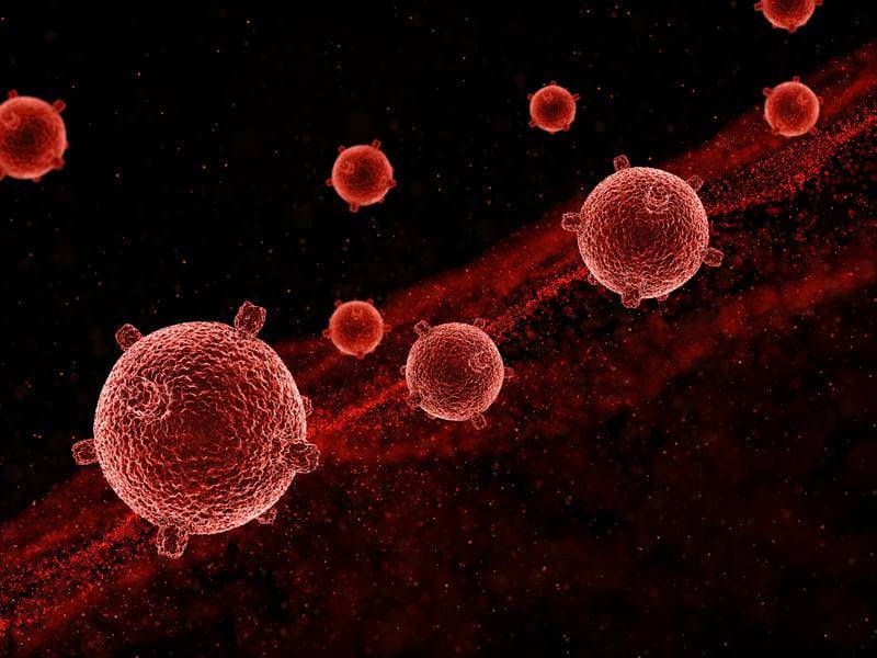 Ученые определили главные причины распространенной формы рака - Cursorinfo: главные новости Израиля - cursorinfo.co.il - США - Израиль