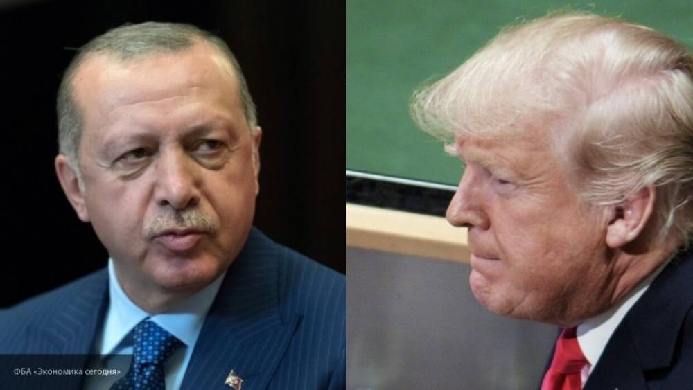 Дональд Трамп - Тайип Эрдоган - Борис Долгов - Эрдоган и Трамп обговорили вопросы сотрудничества на Ближнем Востоке - polit.info - Россия - США - Сирия - Турция - Ливия
