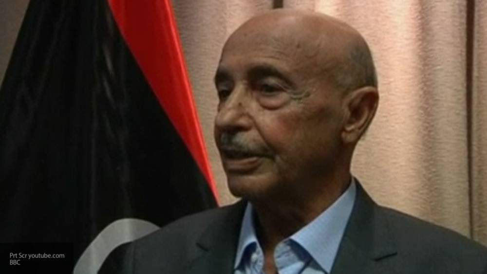 Агила Салех - Глава Палаты представителей Ливии Агила Салех считает нелегитимным Президентский совет ПНС - politexpert.net - Турция - Ливия