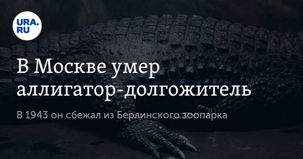 Адольф Гитлер - В Москве умер аллигатор-долгожитель. В 1943 он сбежал из Берлинского зоопарка - ura.news - Москва - США - Германия - Берлин