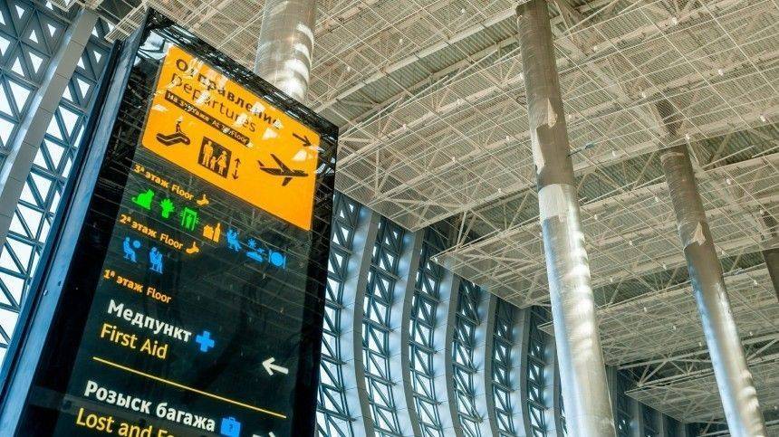 Ирина Волк - Видео: В Крыму пьяный житель Подмосковья устроил дебош в самолете - 5-tv.ru - Москва - Россия - Крым - Московская обл. - Симферополь