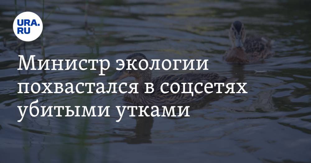 Министр экологии похвастался в соцсетях убитыми утками. Теперь снимки изучают в прокуратуре - ura.news - Россия - Сахалинская обл.