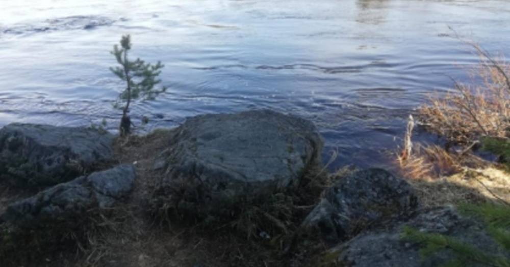 Заведено дело по факту пропажи 4-летней девочки в Мурманской области - ren.tv - Россия - Мурманская обл.
