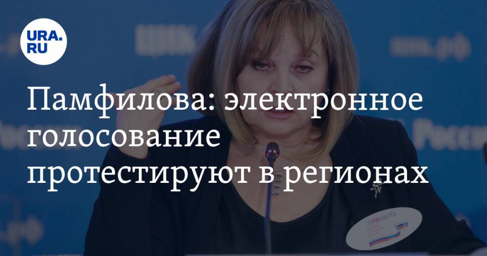 Владимир Путин - Элла Памфилова - Памфилова: электронное голосование протестируют в регионах - ura.news - Россия