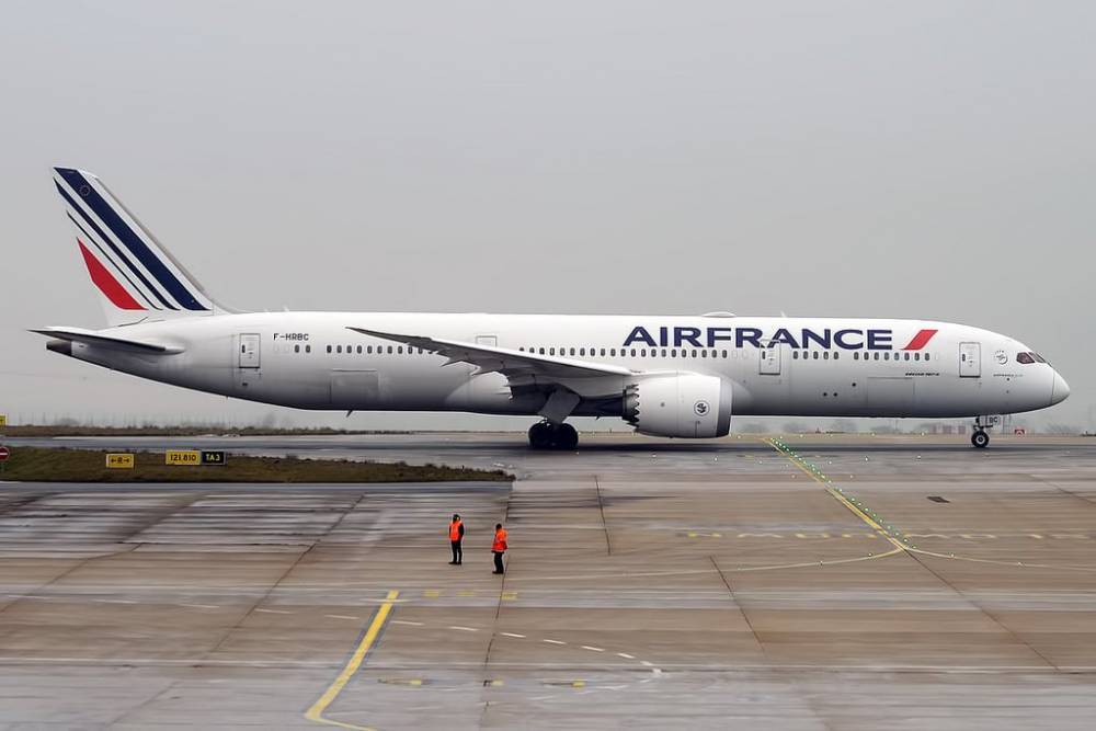 Элизабет Борн - Air France должна отказаться от части внутренних рейсов в обмен на госпомощь - theins.ru - Франция
