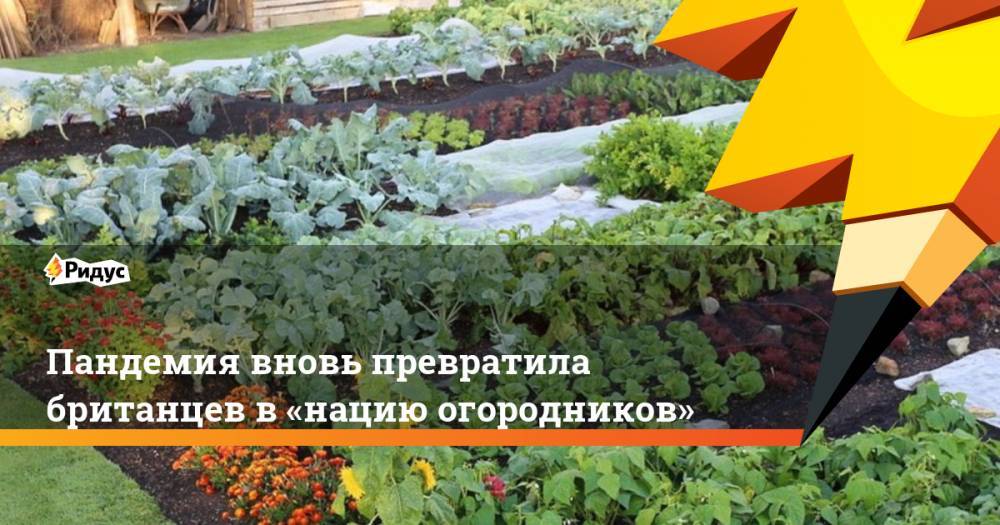 Пандемия вновь превратила британцев в «нацию огородников» - ridus.ru - Англия - Италия - Австралия