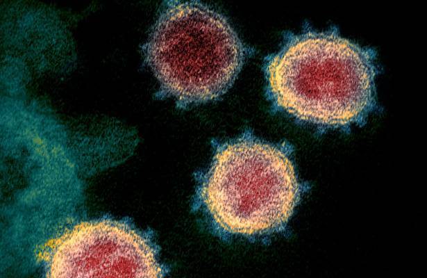 В Германии произошла новая вспышка COVID-19 - newtvnews.ru - Германия