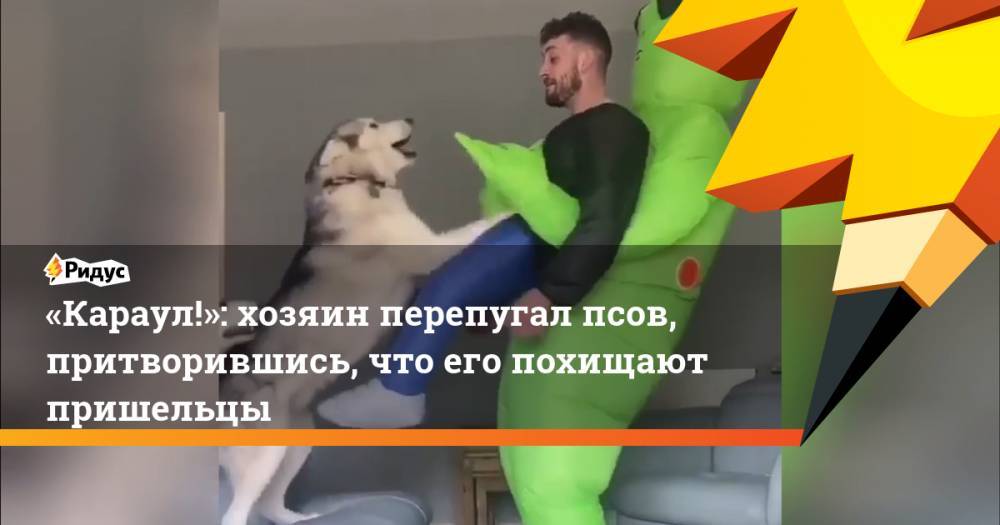 «Караул!»: хозяин перепугал псов, притворившись, что его похищают пришельцы - ridus.ru