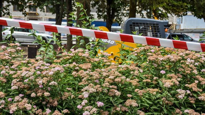 В Тюмени проверят работу озеленителей - nashgorod.ru - Тюмень
