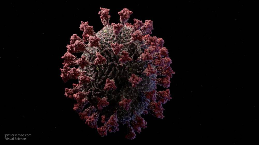 Ученые из Аргентины объяснили неравномерность распространения коронавируса - polit.info - Аргентина