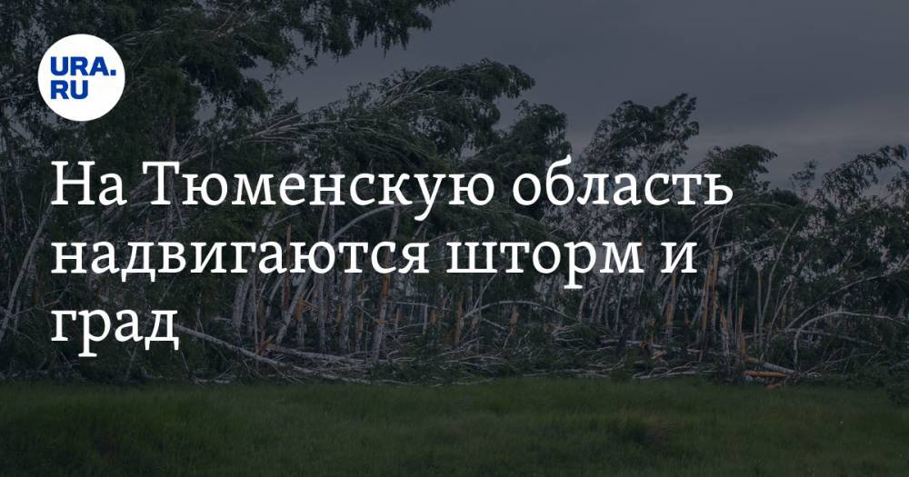 На Тюменскую область надвигаются шторм и град. МЧС бьет тревогу - ura.news - Тюменская обл.