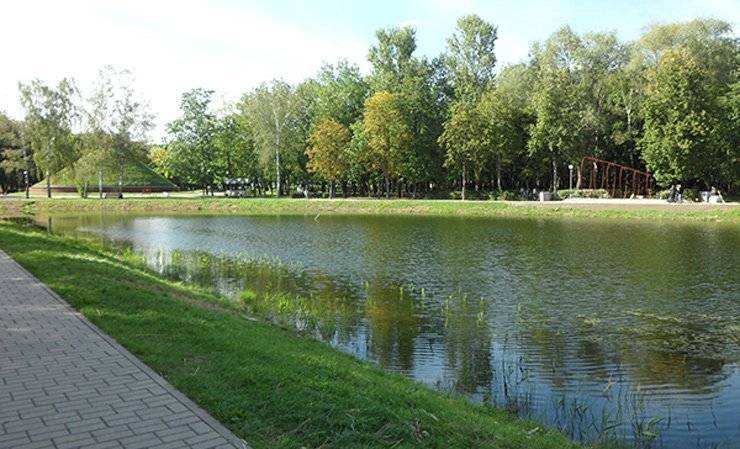В парке «Фестивальный» чистить пруд пока не будут — нет денег - gomel.today - р-н Советский