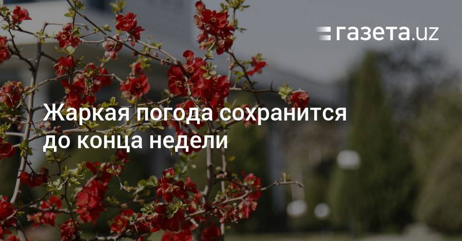 Жаркая погода сохранится до конца недели - gazeta.uz - Узбекистан - Иран