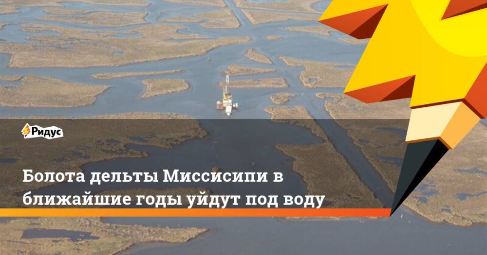Болота дельты Миссисипи в ближайшие годы уйдут под воду - ridus.ru - штат Луизиана - штат Миссисипи