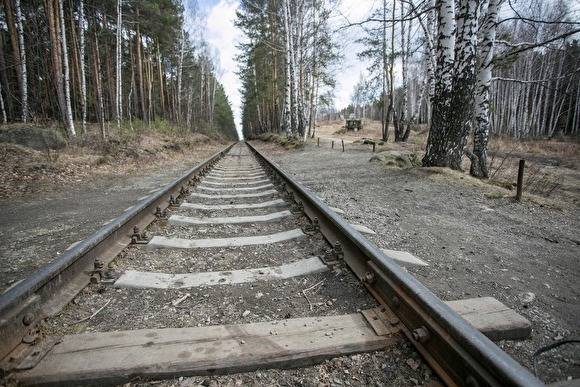 Под Каменском-Уральским грузовой поезд насмерть сбил мужчину. СКР начал проверку - znak.com - Свердловская обл. - Уральск