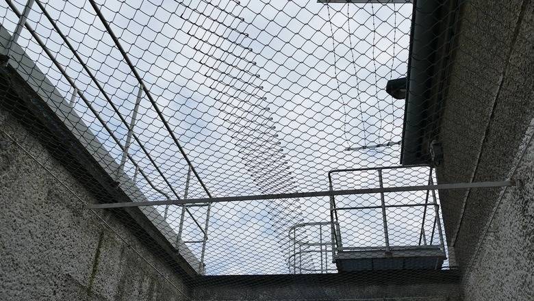 Борис Титов - Палочная система в действии: 10 тысяч бизнесменов попали под незаконное преследование - newizv.ru - Россия