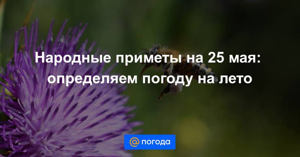 Екатерина Гура - Народные приметы на 25 мая: определяем погоду на лето - news.mail.ru