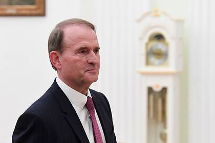 Виктор Медведчук - У главного пророссийского политика Украины обнаружили бизнес в Крыму - lenta.ru - Украина - Крым