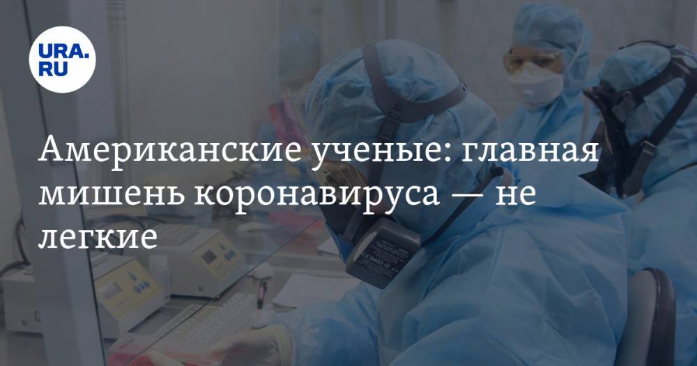 Американские ученые: главная мишень коронавируса — не легкие - ura.news - США