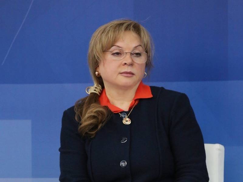 Элла Памфилова - Памфилова заявила, что некоторые регионы проголосуют за поправки дистанционно - sobesednik.ru