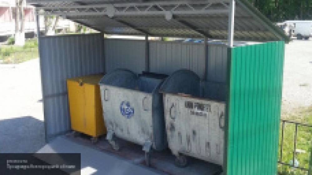 СК выясняет детали смерти кубинки, найденной в мусорном контейнере в Москве - inforeactor.ru - Москва - Куба
