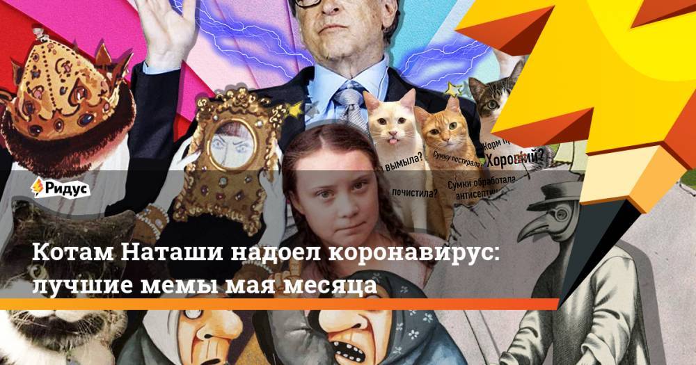 Котам Наташи надоел коронавирус: лучшие мемы мая месяца - ridus.ru