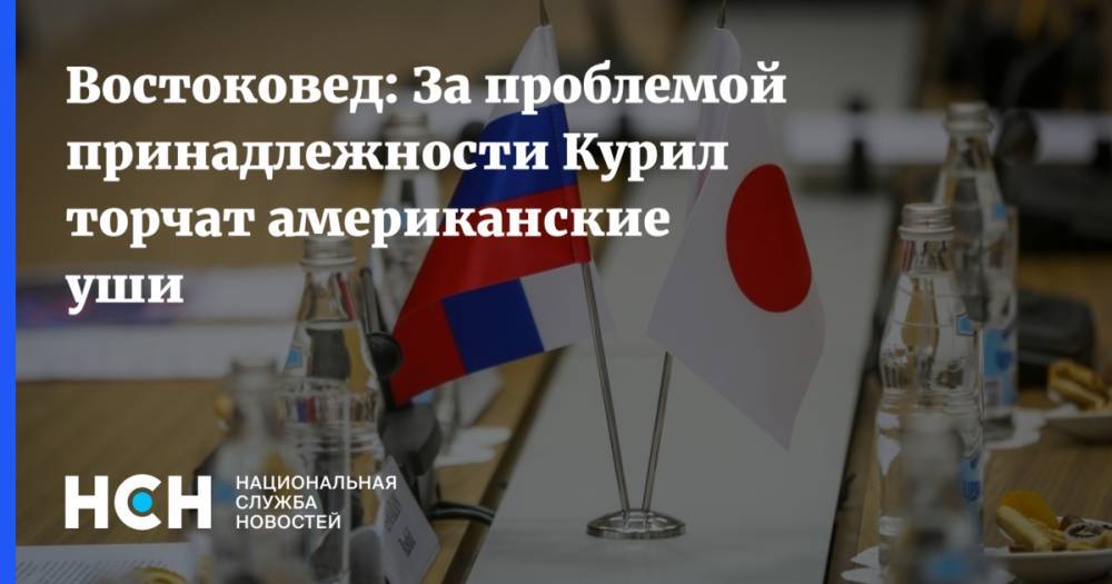 Сергей Лавров - Востоковед: За проблемой принадлежности Курил торчат американские уши - nsn.fm - Россия - Китай - США - Токио - Япония