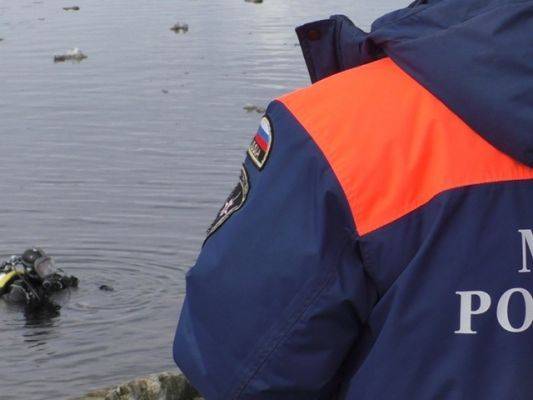 Пропавшую под Мурманском четырехлетнюю девочку нашли на дне Тунтсайоки - eadaily.com - Россия - Мурманск