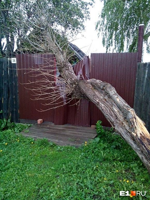 Валерий Горелых - В Свердловской области из-за урагана погибли два человека - znak.com - Екатеринбург - Свердловская обл.