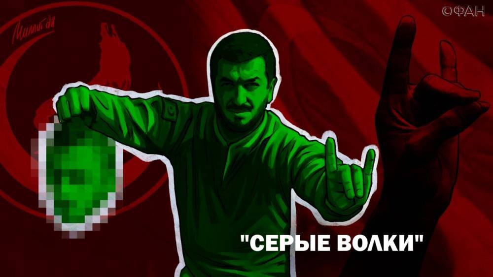 «Серые волки»: как турецкие националисты стали воевать за террористов в Сирии и Ливии - riafan.ru - Сирия - Турция - Анкара - Ливия