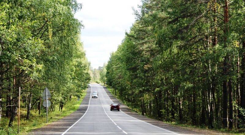Карелия готова принять туристов в масках и обещает свежий воздух - polit.info - Россия - Карелия - Новости