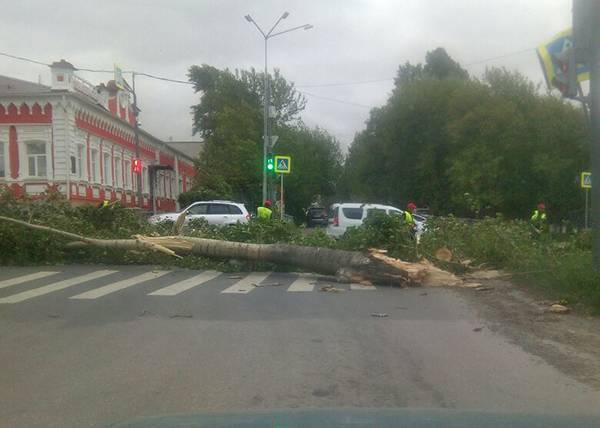 В результате урагана в Свердловской области есть погибшие и пострадавшие. Заявление губернатора - nakanune.ru - Свердловская обл.