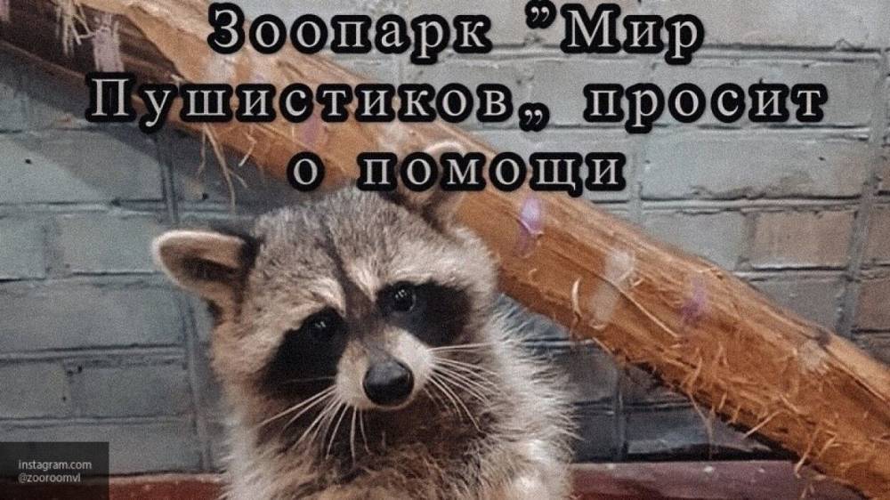 Без еды и воды: владельцы мини-зоопарка в Приморье бросили животных и сбежали из-за долгов - nation-news.ru - Приморье край