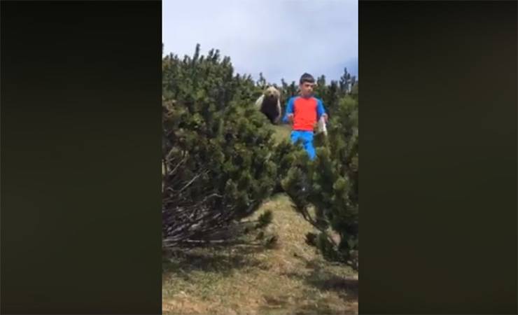 На видео попал ужасающий момент, как медведь по пятам преследует 12-летнего школьника - gomel.today - Италия