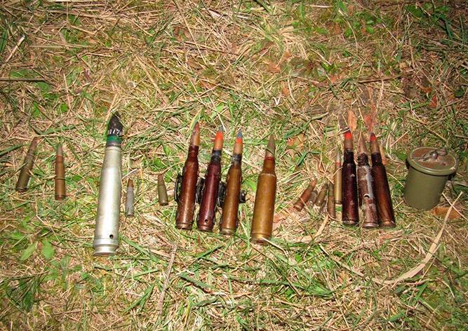 В Чехии дети случайно выловили из пруда боевые патроны - vinegret.cz - Чехия