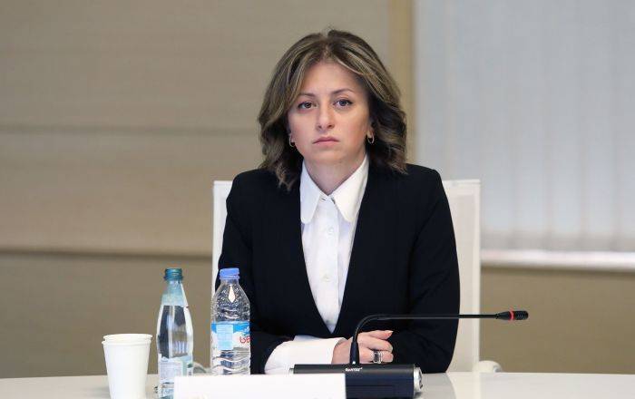 Екатерина Тикарадзе - Глава Минздрава Грузии прокомментировала слова армянского коллеги - sputnik-georgia.ru - Армения - Грузия - Тбилиси