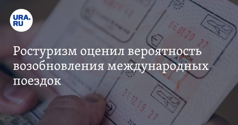 Михаил Мишустин - Зарина Догузова - Ростуризм оценил вероятность возобновления международных поездок - ura.news - Россия