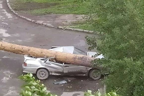 Ученые прогнозируют увеличение числа ураганов в средней полосе и Сибири этим летом - znak.com - Россия - Свердловская обл. - Забайкальский край - Чита