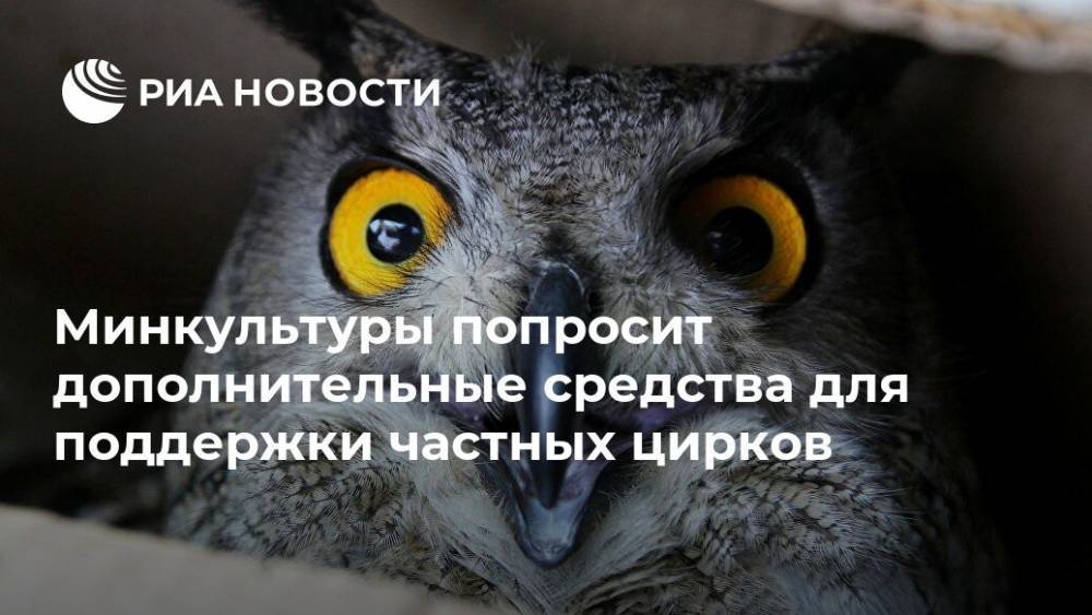 Ольга Любимова - Минкультуры попросит дополнительные средства для поддержки частных цирков - ria.ru - Москва - Россия