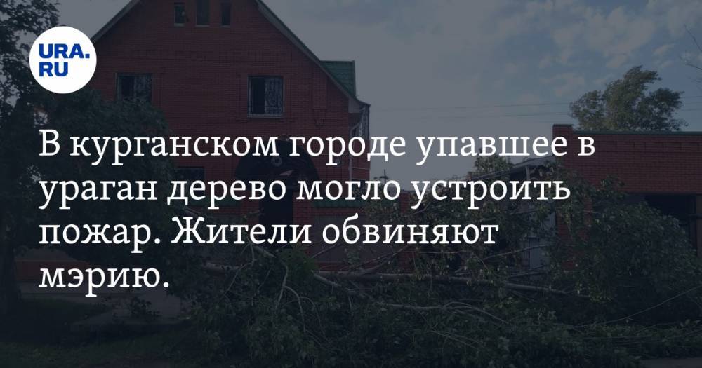 В курганском городе упавшее в ураган дерево могло устроить пожар. Жители обвиняют мэрию. ФОТО - ura.news - Курганская обл. - Шадринск