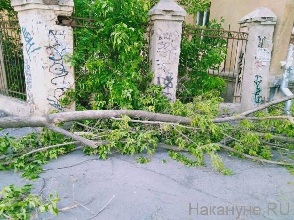 Евгений Куйвашев - Сотни упавших деревьев, десятки поврежденных крыш и автомобилей. В Свердловской области ликвидировали последствия урагана - nakanune.ru - Свердловская обл.