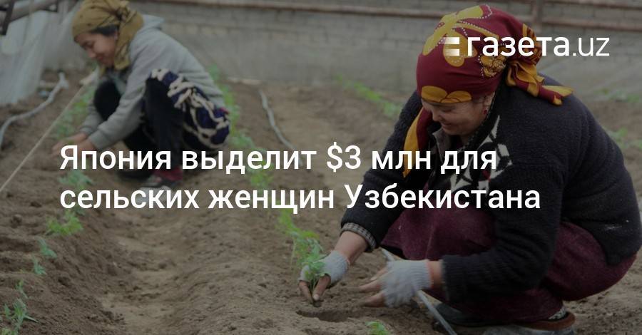 Япония выделит $3 млн для сельских женщин Узбекистана - gazeta.uz - Узбекистан - Япония - Ташкент