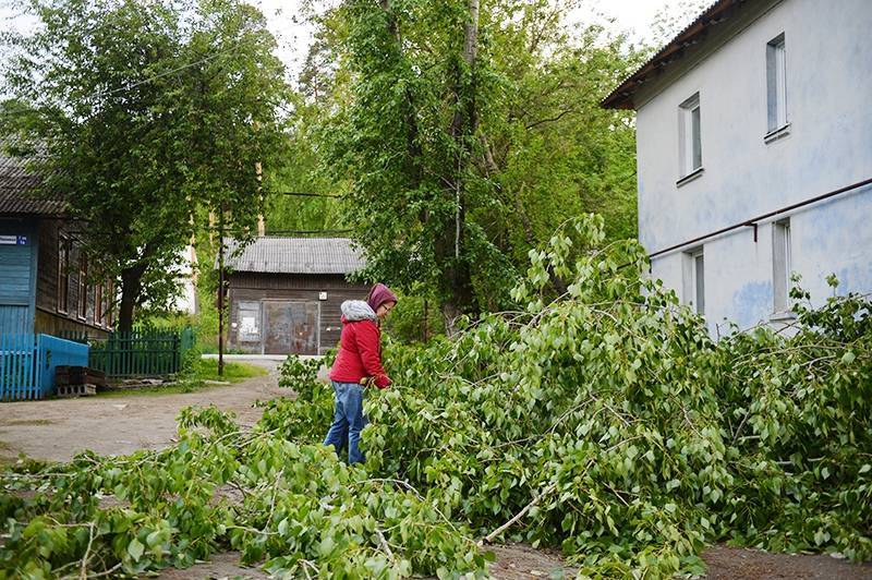 Число жертв урагана в Екатеринбурге возросло до четырех - tvc.ru - Екатеринбург - Свердловская обл.