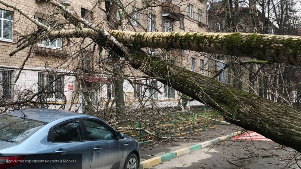 Жертвами урагана в Екатеринбурге стали четыре человека - nation-news.ru - Екатеринбург - Челябинская обл. - Белоярск - Свердловская обл. - Пермский край