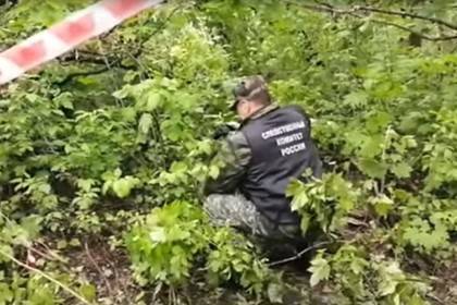 Ушедшую на прогулку российскую школьницу нашли убитой в лесу - newsland.com - Россия - Пенза