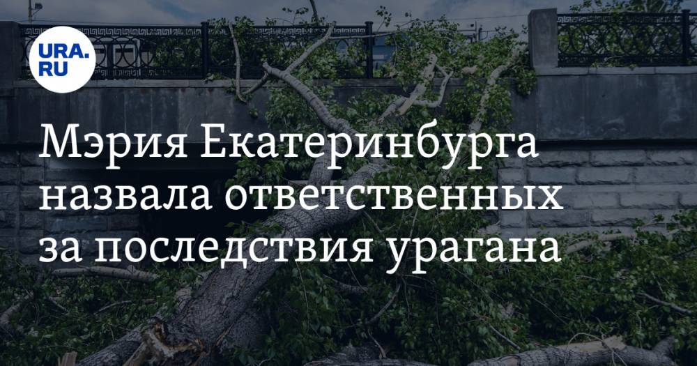 Мэрия Екатеринбурга назвала ответственных за последствия урагана - ura.news - Екатеринбург