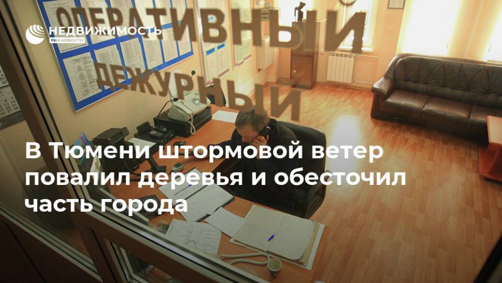 В Тюмени штормовой ветер повалил деревья и обесточил часть города - realty.ria.ru - Екатеринбург - Тюмень